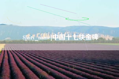 兰州中国十七块金牌