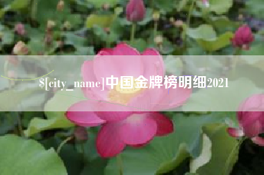 兰州中国金牌榜明细2021