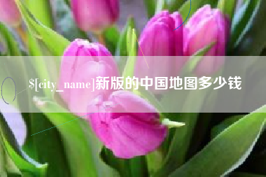 兰州新版的中国地图多少钱