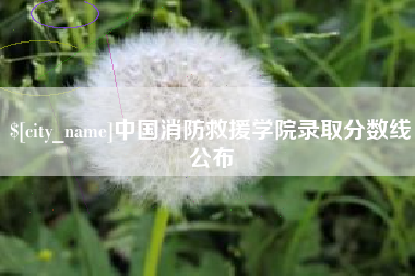 兰州中国消防救援学院录取分数线公布