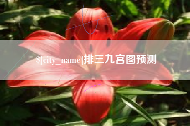 兰州排三九宫图预测
