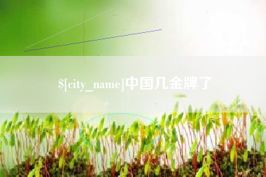 兰州中国几金牌了