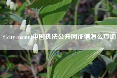 兰州中国执法公开网征信怎么查询