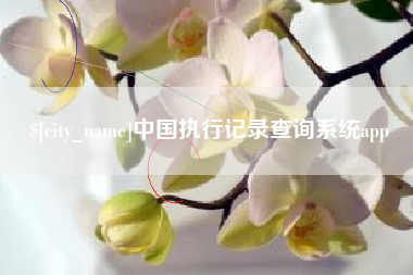 兰州中国执行记录查询系统app