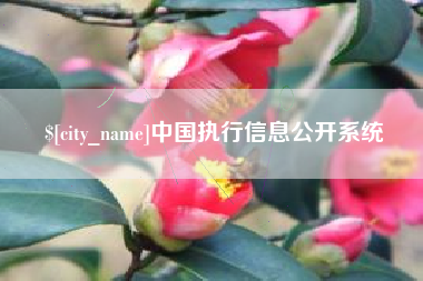 兰州中国执行信息公开系统