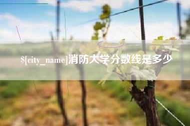 兰州消防大学分数线是多少