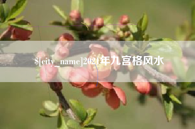 兰州2021年九宫格风水