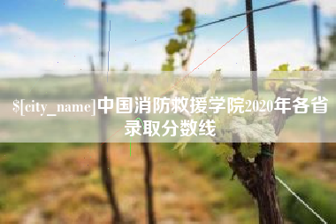 兰州中国消防救援学院2020年各省录取分数线
