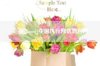 兰州中国执行网信息官网