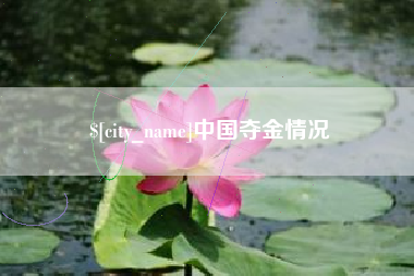 兰州中国夺金情况