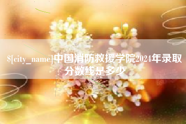 兰州中国消防救援学院2024年录取分数线是多少