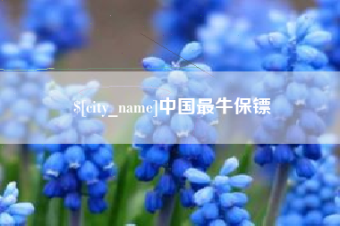 兰州中国最牛保镖