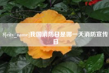 兰州我国消防日是哪一天消防宣传日