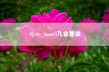 兰州九金是谁