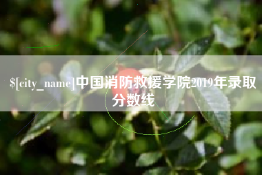 兰州中国消防救援学院2019年录取分数线
