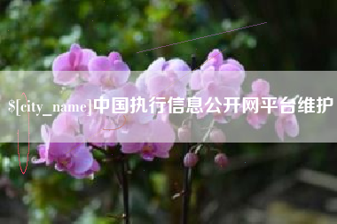 兰州中国执行信息公开网平台维护