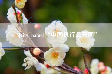 兰州“中国执行公开网”