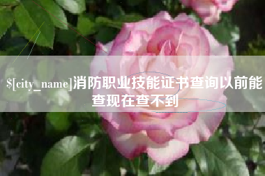 兰州消防职业技能证书查询以前能查现在查不到