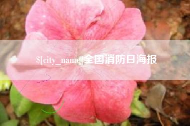 兰州全国消防日海报