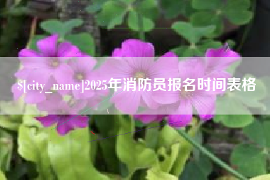 兰州2025年消防员报名时间表格