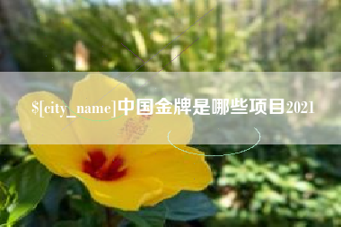 兰州中国金牌是哪些项目2021