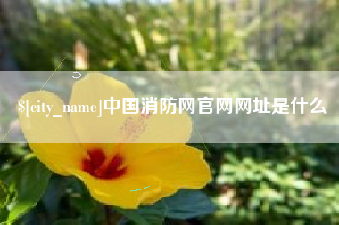兰州中国消防网官网网址是什么