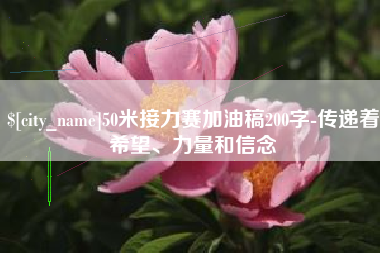 兰州50米接力赛加油稿200字-传递着希望、力量和信念