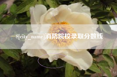 兰州消防院校录取分数线
