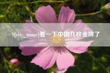 兰州看一下中国几枚金牌了