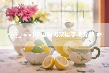 兰州中国消防救援学院分数2020