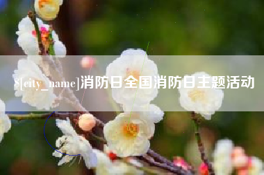兰州消防日全国消防日主题活动