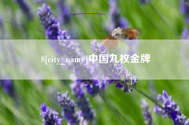 兰州中国九枚金牌