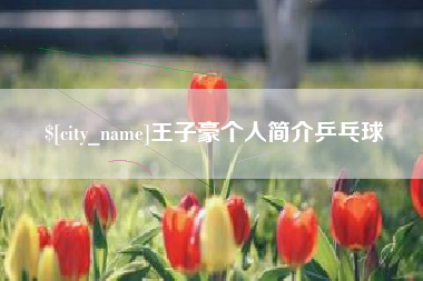 兰州王子豪个人简介乒乓球
