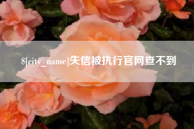 兰州失信被执行官网查不到