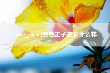 兰州看看王子豪长什么样