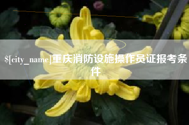 兰州重庆消防设施操作员证报考条件