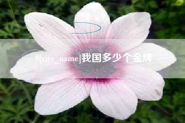 兰州我国多少个金牌