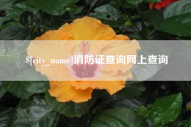 兰州消防证查询网上查询