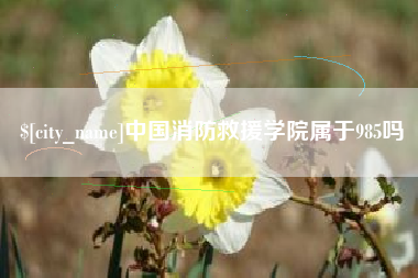兰州中国消防救援学院属于985吗