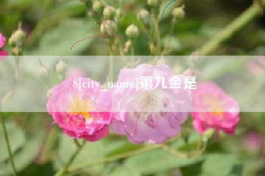 兰州第九金是