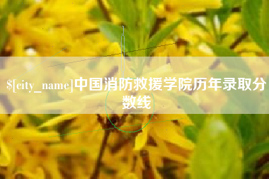 兰州中国消防救援学院历年录取分数线