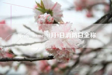 兰州11月9日消防日全称