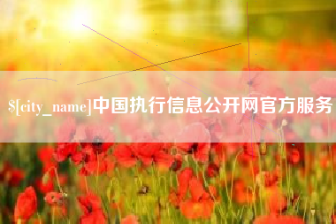 兰州中国执行信息公开网官方服务
