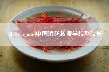 兰州中国消防救援学院副院长