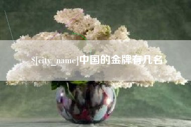 兰州中国的金牌有几名