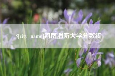 兰州河南消防大学分数线