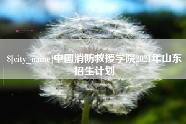 兰州中国消防救援学院2021年山东招生计划
