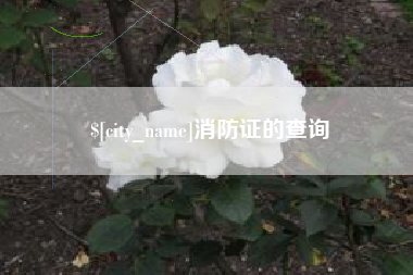 兰州消防证的查询
