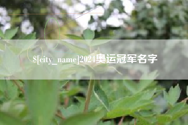 兰州2024奥运冠军名字