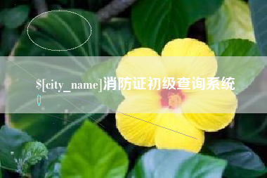兰州消防证初级查询系统